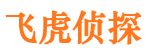 北镇市调查公司